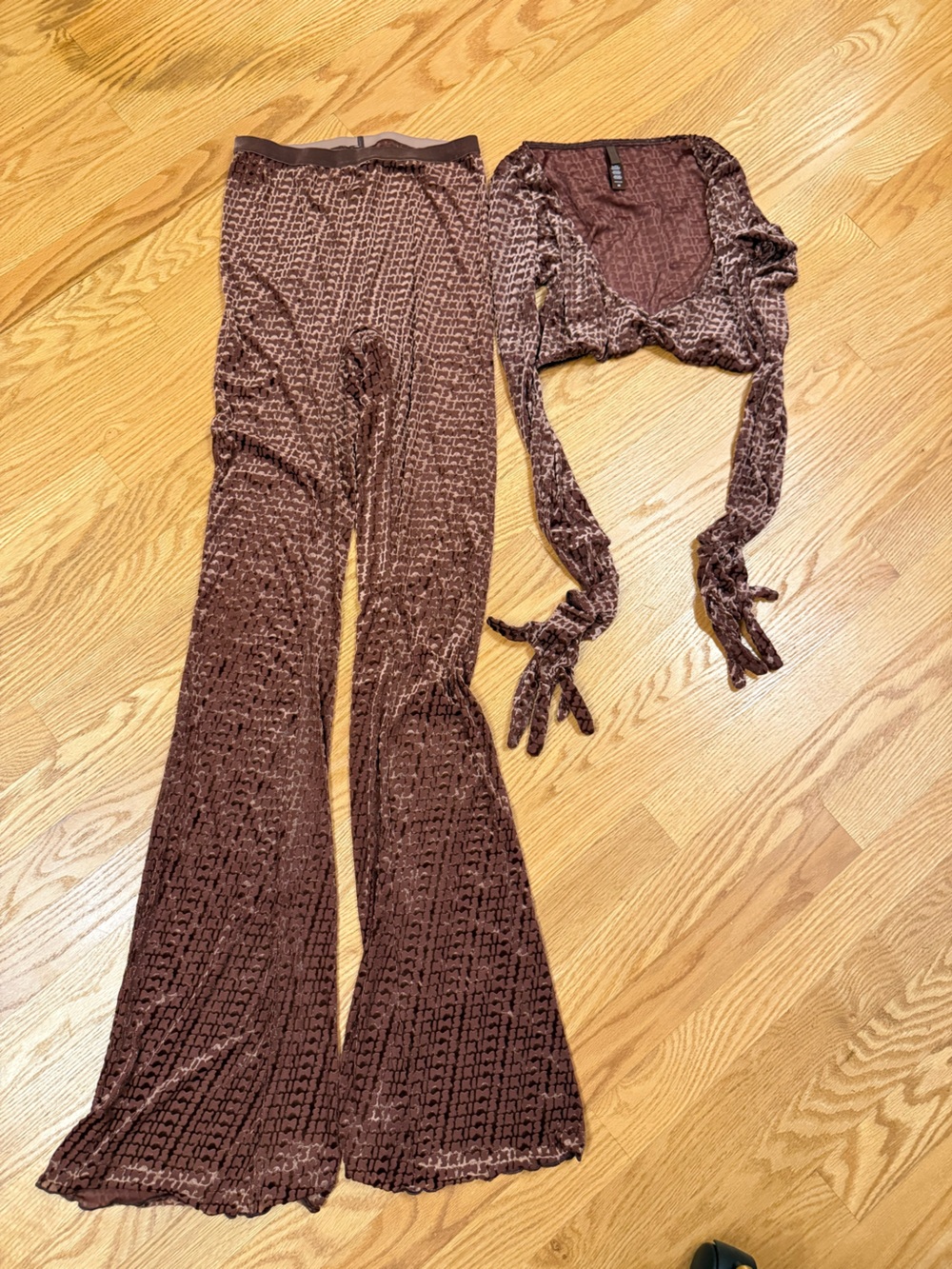 SKIMS sheer velvet 2 piece